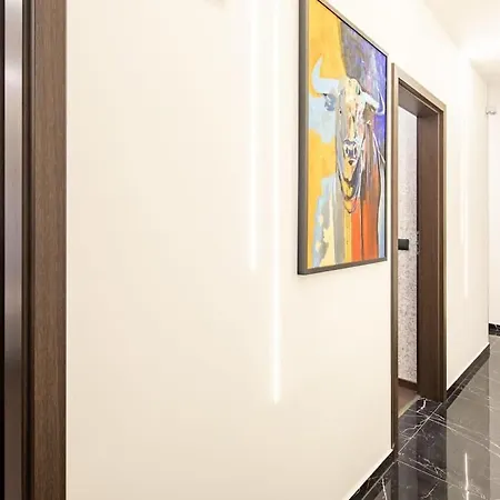 Super - Luxy Modern